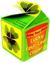 Czterolistna koniczynka