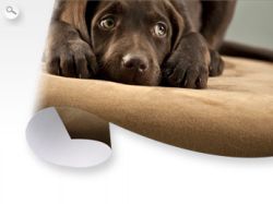 Plakat drukowany XXL