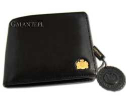 Portfel męski Arizona 10 1-040-1