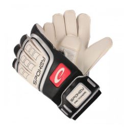 Rękawice bramkarskie Pro Train