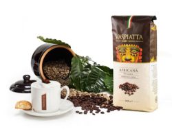 Kawa Vaspiatta Africana